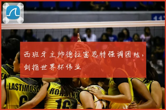 西班牙主帅德拉富恩特强调团结，剑指世界杯伟业